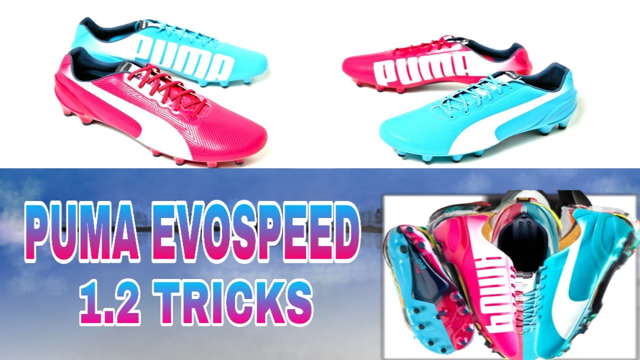 puma evospeed blue pink