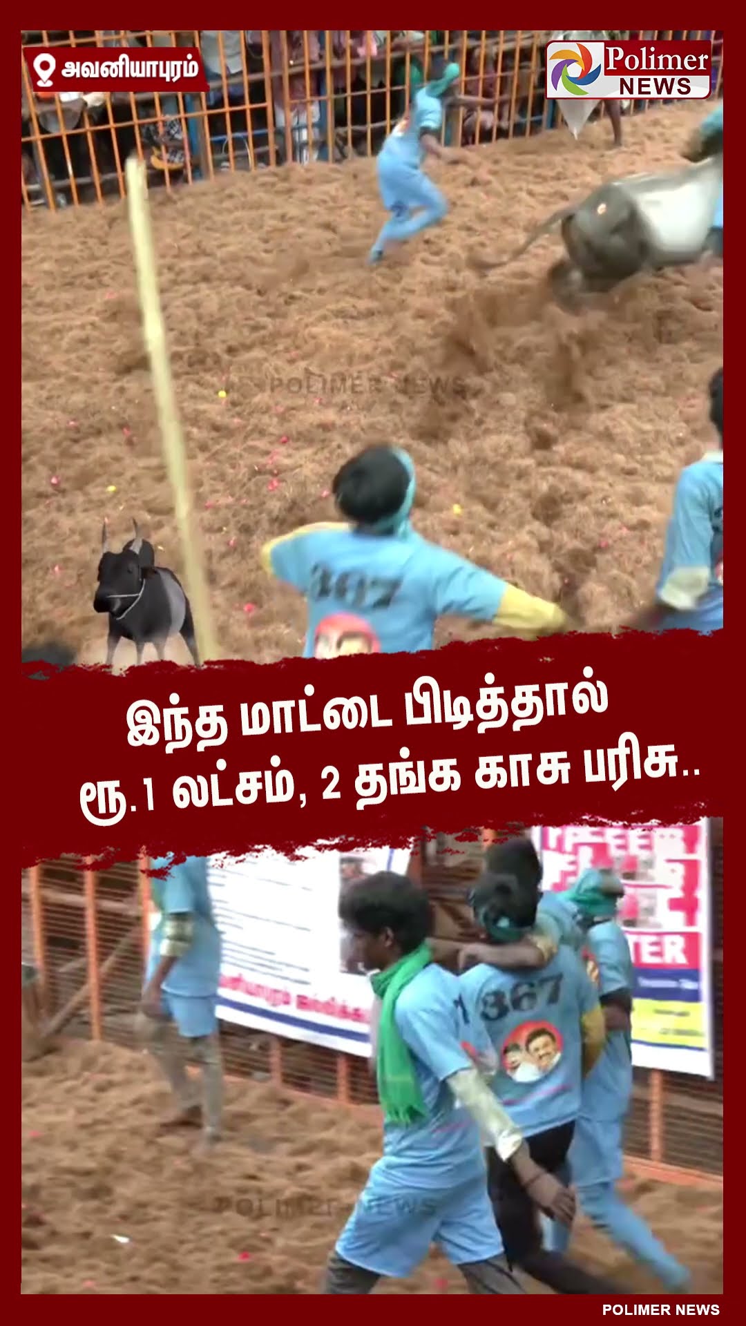 இந்த மாட்டை பிடித்தால் ரூ.1 லட்சம், 2 தங்க காசு பரிசு..  #shorts | #avaniyapuramjallikattu