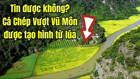 Lễ Hội Lúa Vàng Tam Cốc 2025- Khai mạc tuần du lịch Ninh Bình Sắc Vàng Tam Cốc