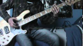 Red Hot Chili Peppers - Stone Cold Bush (Bass Cover)