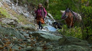 Izolaţi în România: Ineleţ, judeţul Caraş Severin (@TVR1)