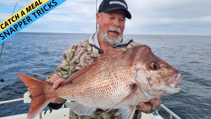 How-To Catch BIG RED SNAPPER-BEST BAIT & TACTICS Pro Guide TIPS