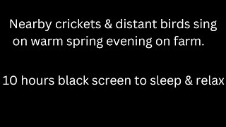 Close crickets and distant birds sing on farm, cricket sounds 10 hours black screen sleep &amp; relax