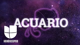 Acuario en el mes de Sagitario | Univision Horóscopos