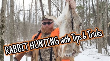 RABBIT HUNTING with TIPS & TRICKS