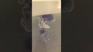 Lush Hi Ho Silver Bath Bomb 2019. Demo