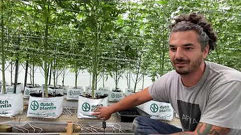 Feed EC vs Substrate EC vs Run off EC