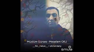 MESELEM Resimi