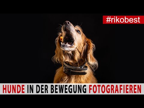 Video: So Fotografierst Du Mit Canon