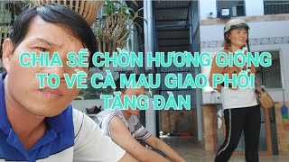 CHIA SẺ CHỒN HƯƠNG GIỐNG TO VỀ CÀ MAU TĂNG ĐÀN 0947411522