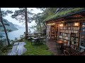 🌲📚 “Whispers Between Pines” | Rainy Forest Book Nook Overlooking the Fjord