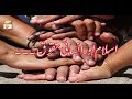 Watch Zabta e Hayat - 30th January 2019 - ARY Qtv Online In HD