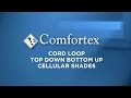 Cellular Cord Loop Top Down-Bottom Up