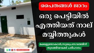 പരപ്പിൽ പൈതങ്ങൾ ജാറം|Parappil Paithangal Jaram|Kuttichira|Ziyarath|Malayalam|Hubbu Sadath Media