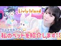 推し活遠征の疲労を癒やしてくれる私のペットを紹介します!