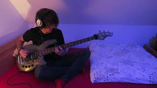 Bass Cover - Material by Devin Townsend