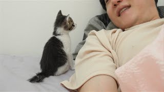 A Rescued Kitten Comes to Me and Says Every Night, 'I want to sleep together'