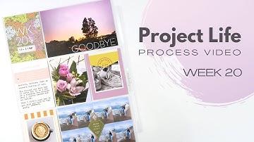 Project Life Process Video // Week 20, 2023 // Studio Calico