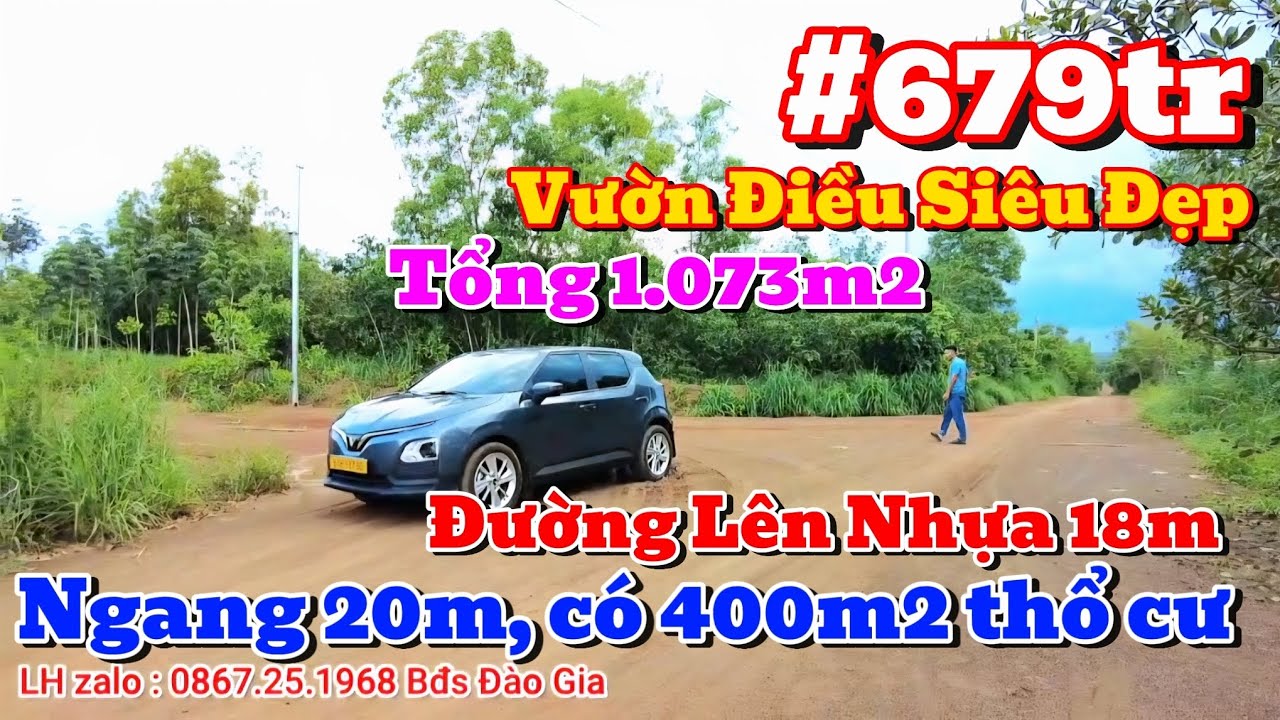 679tr | Vườn Điều 1.073m2 Ngang 20m có 400m2 thổ cư, đường lên nhựa, LH 0867251968 #bdsbinhphuoc