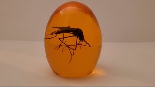 Veojein Jurrasic 3D Mosquito In Amber