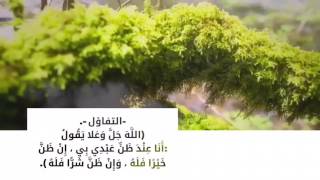 برنامج حياتك 