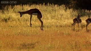 Famous Jumping for Joy - Africa - Episode 4 Preview - BBC Net Worth