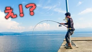 「怪魚の巣がある」と噂の離島で釣りしたらバケモンが・・・キター！！！