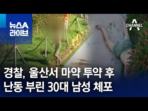 Police Arrest Man in His 30s for Drug-Fueled Rampage in Ulsan | News A Live
