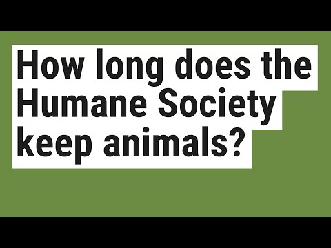 Per quanto tempo la societ&#224; umana mantiene gli animali?