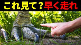 あなたが知らなかった必要なサバイバルガイド