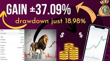 Apex EA MT4 V3 – Gain +37.09% | Multi-Pair Forex Robot with Setfiles
