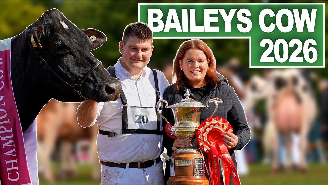 Diageo Baileys Champion Cow Winners