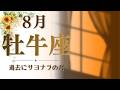 8月の牡牛座♉️今までとはまったく違うタイムラインへ!🚀