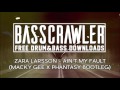 Zara Larsson - Ain't My Fault (Macky Gee X Phantasy Bootleg) (FREE DOWNLOAD)