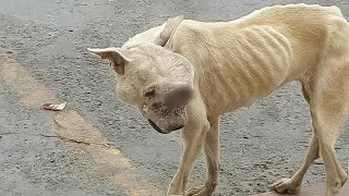 картинка: Хотя глаза Флоренс были забыты и полны боли, в них все еще теплилась хрупкая надежда на доброту