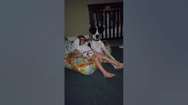 Great Dane Snuggles