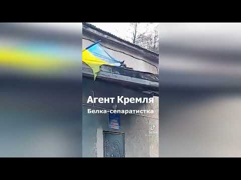 Агент Кремля