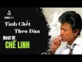 Album Tình Chết Theo Đàn | Nhạc Lính Hay Nhất | Chế Linh Tuyển Chọn