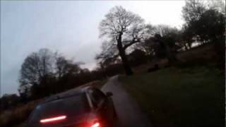 Minicab illegally driving on a foot &amp; cyclepath in Richmond Park  - on purpose!