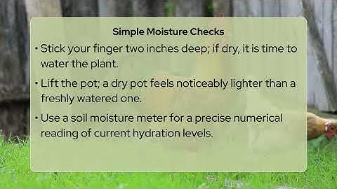 How Often Should I Check Plant Soil Moisture?