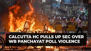 Bengal Panchayat poll violence: Calcutta HC says State Election Commission didn't fulfill its duty