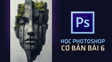 🎨 Học Photoshop Cơ Bản Bài 6 | Làm Chủ Giao Diện & Công Cụ Cho Người Mới Bắt Đầu