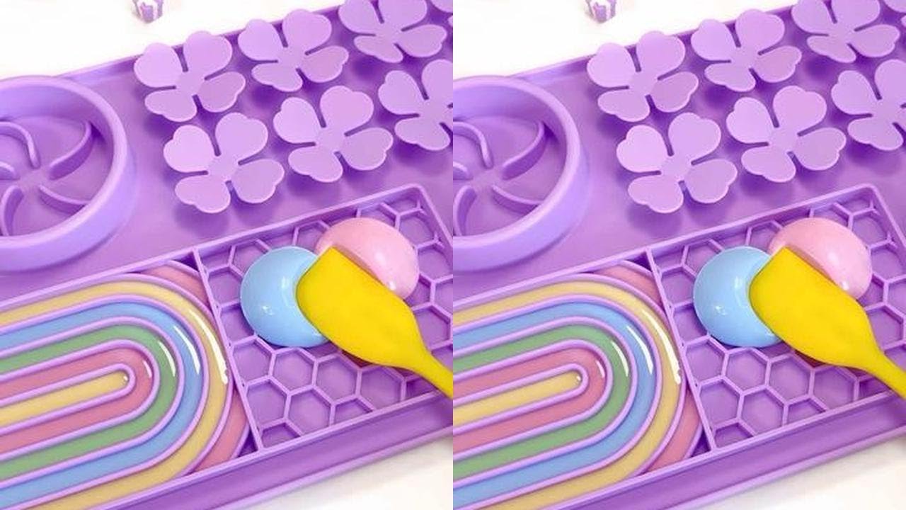 谁懂啊！茶杯犬都吃价值三位数的狗饭了！ #狗狗配餐 #狗狗吃饭 #asmr #解压 #萌宠出道计划