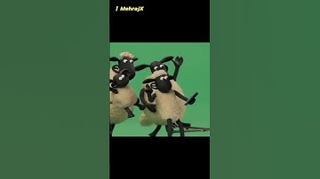 You Won’t Believe How Shaun the Sheep Was Shoot ! #shortsfeed