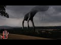 Top 5 Scary Trevor Henderson Creatures - Part 2