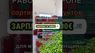 #работа #вакансия #трудоустройство #склад #европа #работавевропе