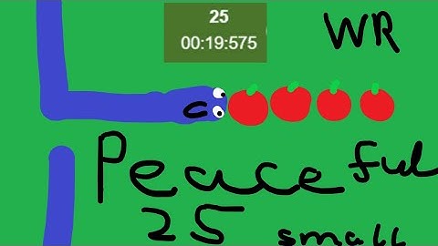 [WORLD RECORD] Google snake peaceful 25 in 19s 575ms (small map)