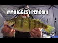Ice fishing for Perch and Walleye with Underwater Camera | My Biggest Perch!!
