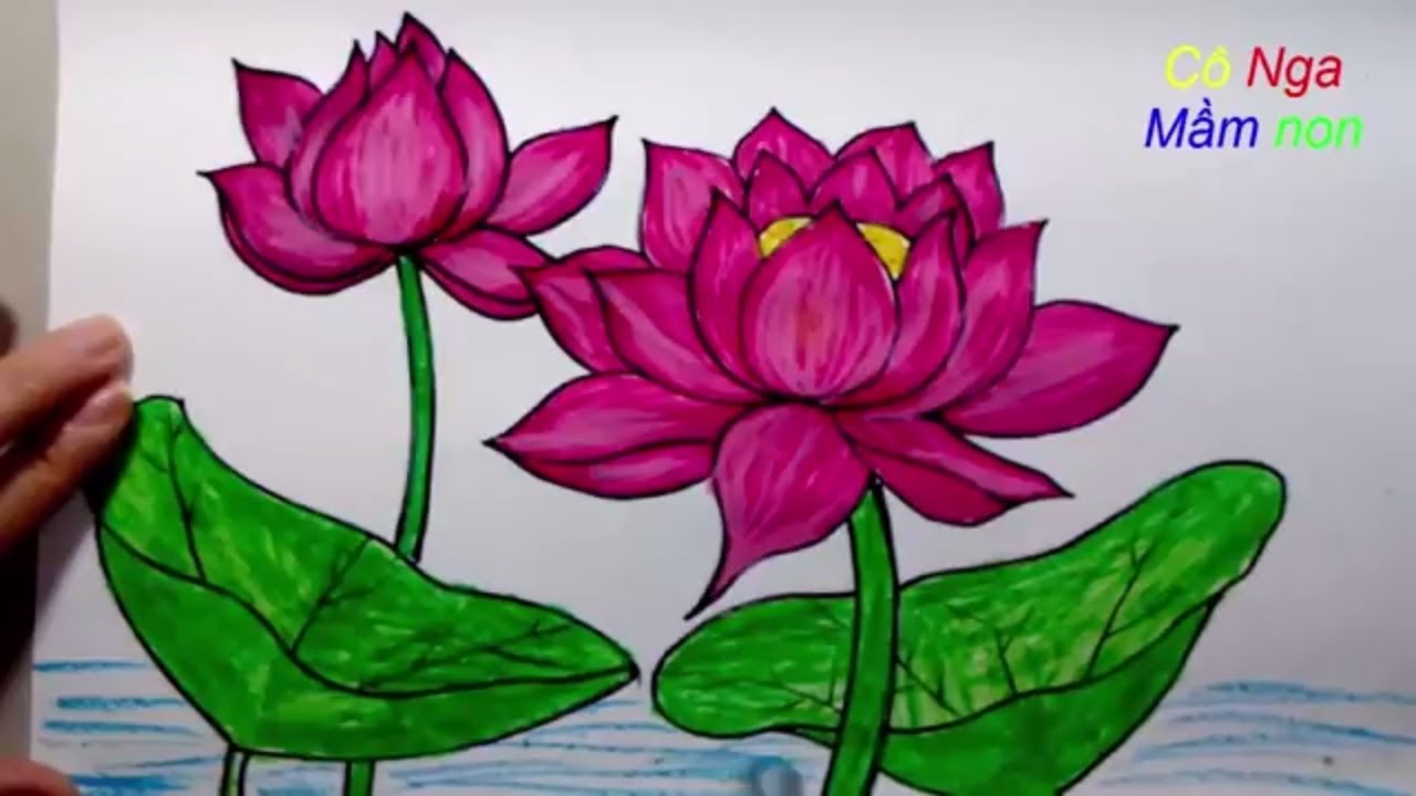 Vẽ Hoa Sen Đơn Giản - How To Draw Lotus Step By Step - Easy Drawing -  Youtube