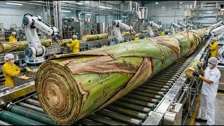Inside the largest high-tech banana stem processing plant you've ever seen (The entire process)